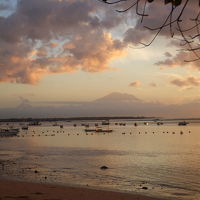 朝ビーチを散歩しました