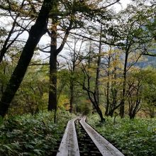 梓川右岸の木道。