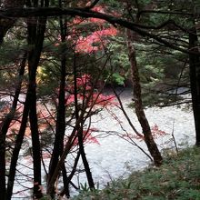 紅葉と梓川の流れ。