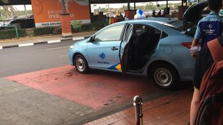 やはりブルーバードが一番