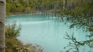 初めて見る神秘の湖