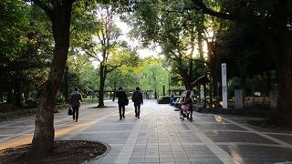 こちらは無料です。