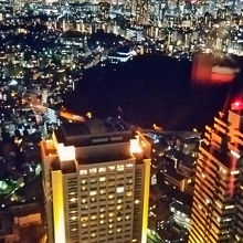 恵比寿ガーデンプレイスタワー39階からの夜景です。