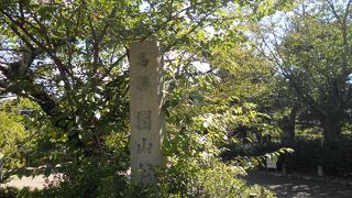 かなり大きな公園です