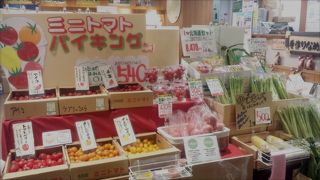 ミニトマトのクオリティ!