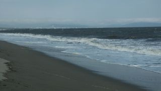 野蒜海水浴場