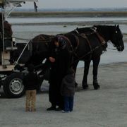 のんびりと優雅に行きたいならこの馬車で