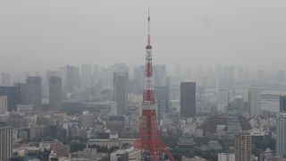 東京タワーのライトアップが綺麗に見えます
