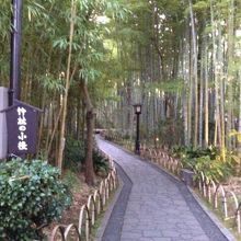 ちょっと散歩にいいです