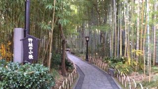 静かに散歩できます