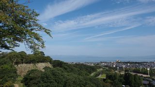 遠くからでは大きさがわからず・・・