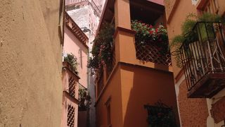 たくさんの人が写真を撮っていました。