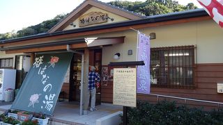 椿温泉復活なるか