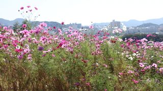 四季折々、大人も子供も楽しめます。