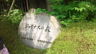 旅行者は高い所がすき