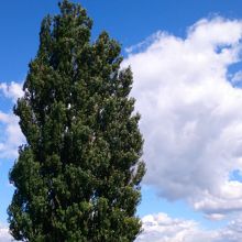 人を入れないで写真を撮るとこんな感じ