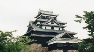 実戦的な構造が特徴の現存天守