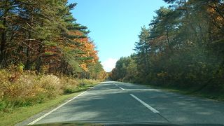 紅葉がまずまずで