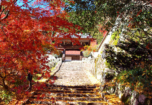 王龍寺の紅葉