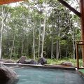 原生林を眺める露天風呂は最高の泉質　