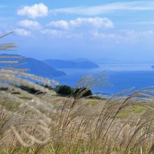 ススキの穂越しに琵琶湖を