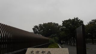 東京ドーム１１個分もある広大な公園です