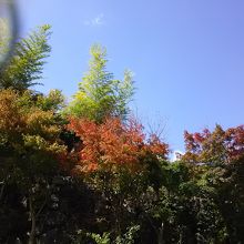 湯布院の山荘エリアでは、紅葉が始まってました。