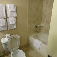 タオルが硬かった、バスルームは余裕の広さ（少し古い）