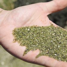 本家ビーチよりこっちのビーチの方が粒が大きい