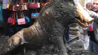 フィレンツェの人気者