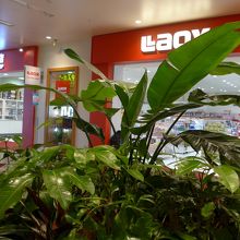 店内の観葉植物と新店の「LAOX」