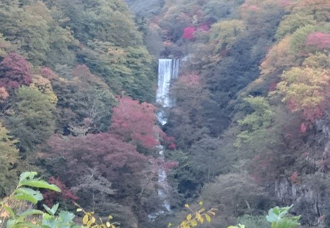 落差あり、意外に迫力あります。