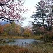 初心者でも迷子にならないハイキング・・まるで、モネの世界 In栃木県・泉門池