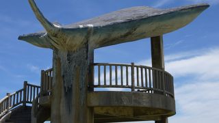 マンタの展望台