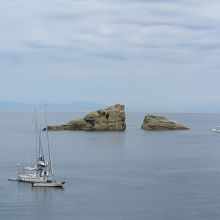 眺めるだけで癒やされる