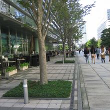 横浜駅方面を望む