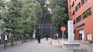 愛宕神社のある愛宕山は、春は桜、夏は鬱蒼と茂る樹木と蝉時雨、秋は紅葉、冬は雪景色と、四季折々楽しませてくれます。