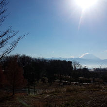 SAから見えた富士山