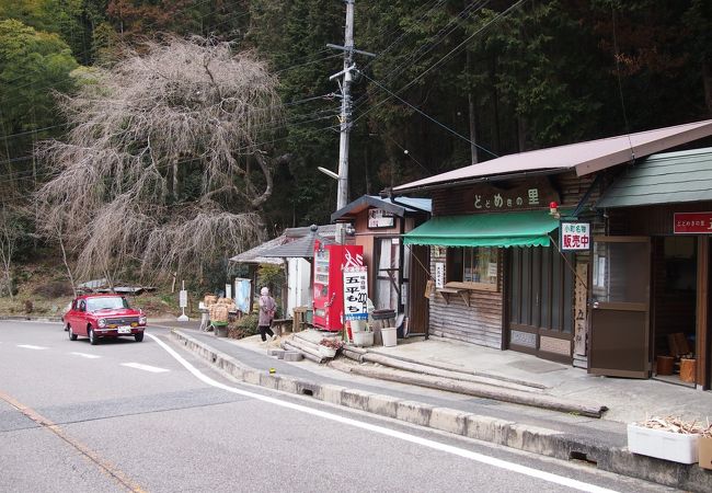 どどめきの里