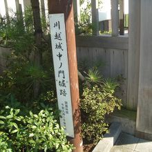 それは突然に現れた