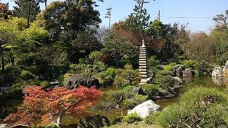 吉田邸の庭が美しい