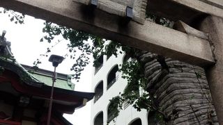 目黒のさんま祭りの会場。