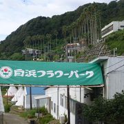 白浜フラワーパーク クチコミ アクセス 営業時間 白浜 千葉 フォートラベル 白浜フラワーパーク クチコミ アクセス 営業時間 白浜 千葉 フォートラベル