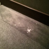 9階廊下の正体不明粉体。