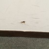 壁の損傷、まあこれくらいは許容範囲だが