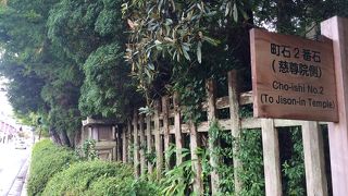 歩いていると見かけます