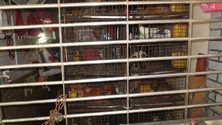 イミグレーションに時間がかかりますが、市場回りは楽しいです。