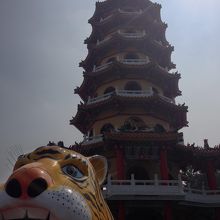 虎の口から出てきました