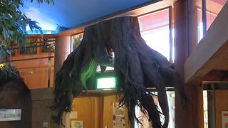 山頂に宿泊した者だけの特典！