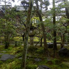 部屋から見える苔庭と蔵。静かです。